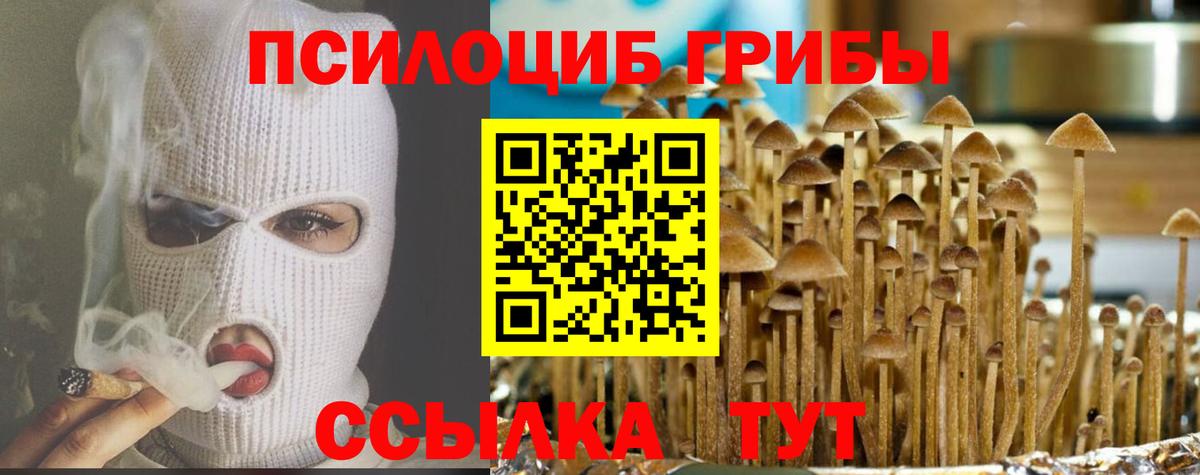Галлюциногенные грибы Magic Shrooms  Галлюциногенные грибы Magic Shrooms  Донецк  где купить наркоту  Вход с VPN 